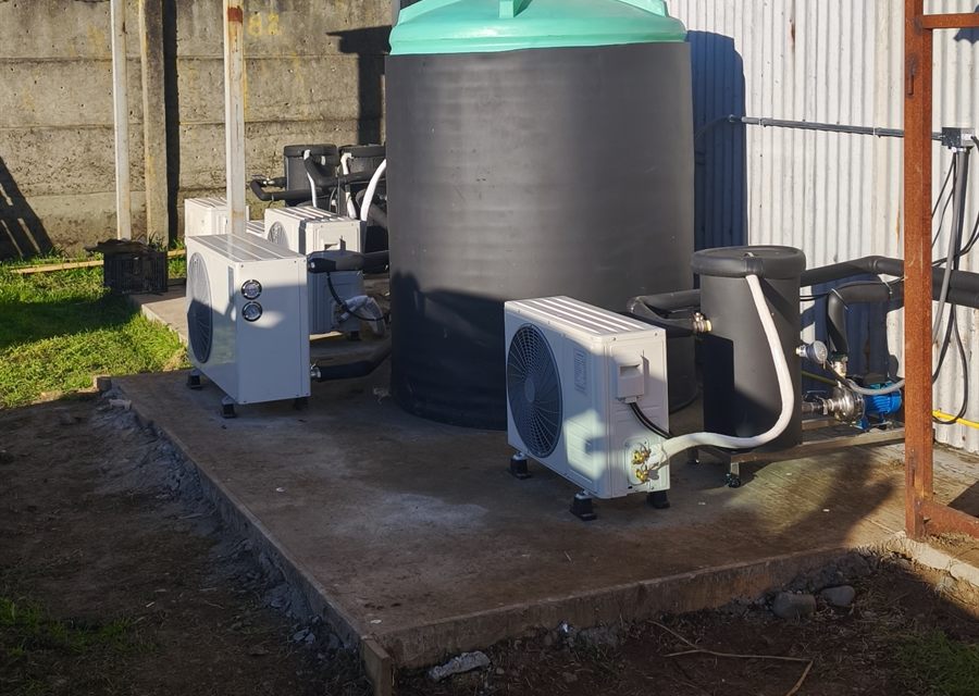Sistema de frío armado por RZIS en el exterior de una planta: estanque de agua fría, unidades condensadoras, bombas y cañerías aisladas