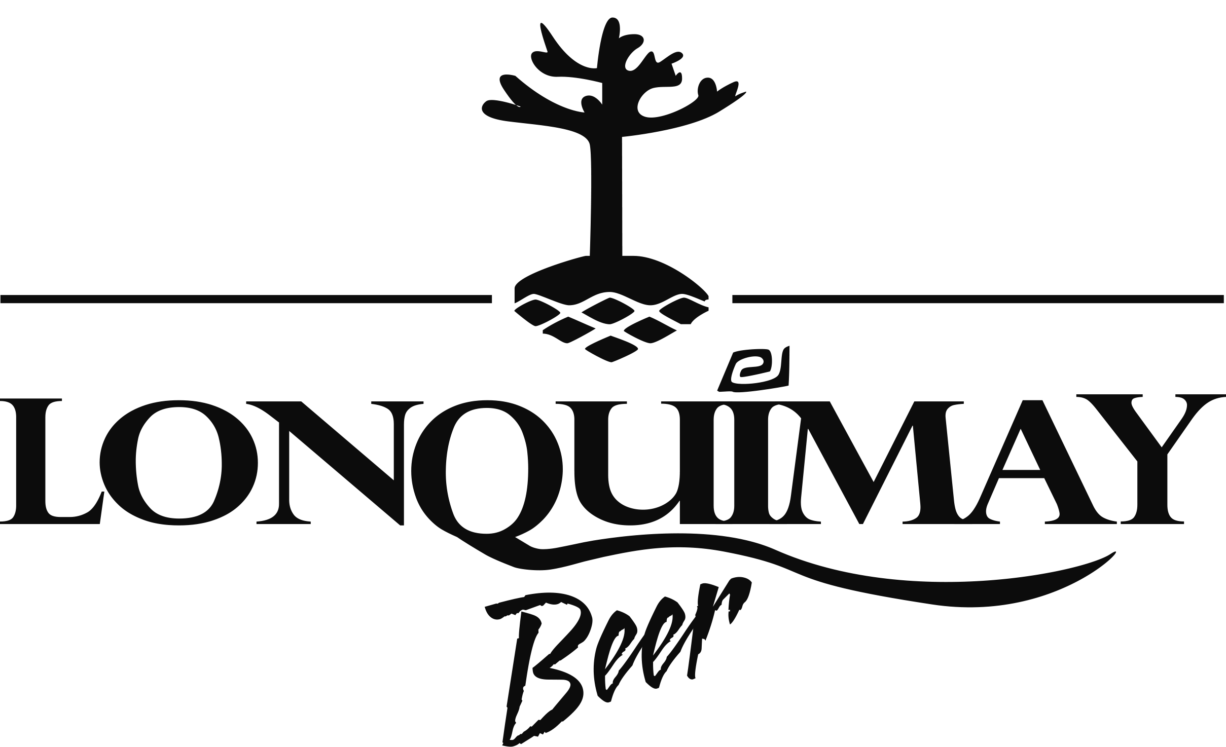 Cerveza Lonquimay